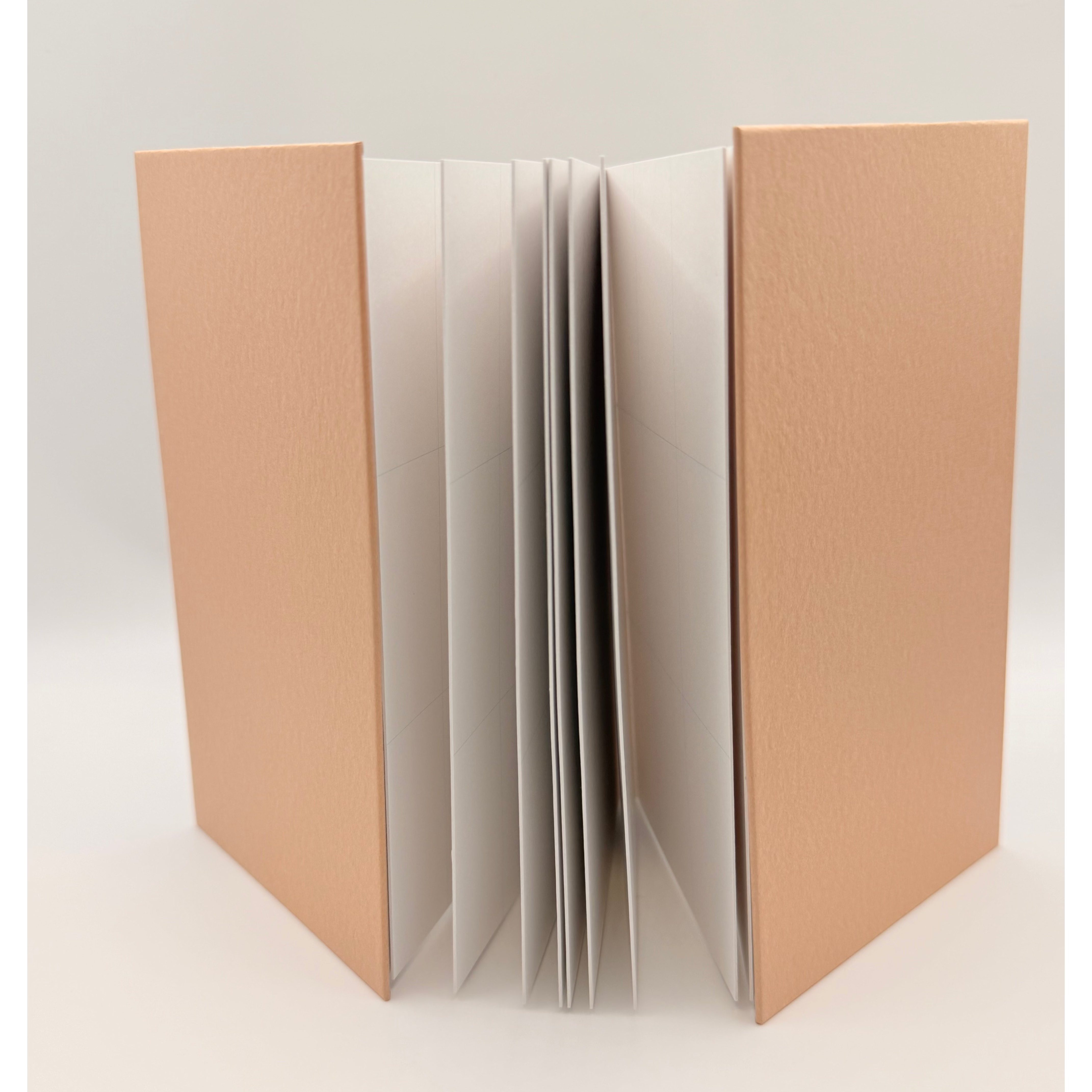 TAISEI Panorama Notebook
